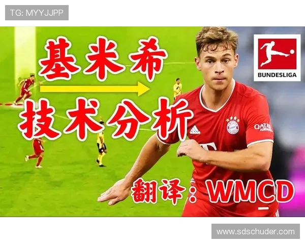 基米希技术全面分析