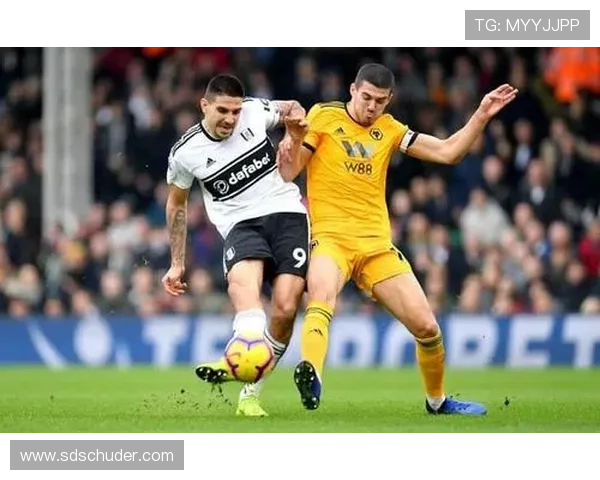 米特罗维奇球队贡献